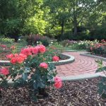 BBG Rose Garden