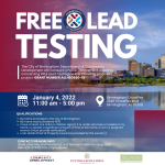 Lead Testing